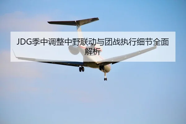 JDG季中调整中野联动与团战执行细节全面解析